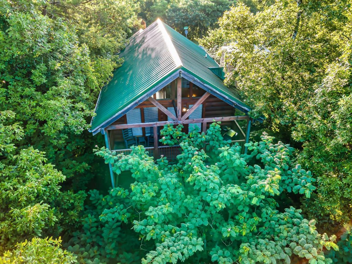 Cozy Log Cabin!! In Heart Of Pf & Close To The Smokies Pigeon Forge Extérieur photo